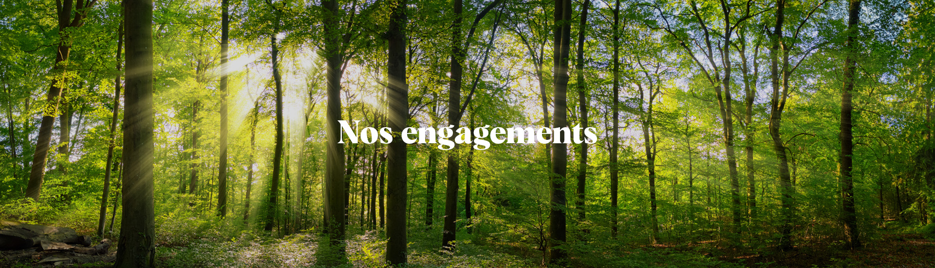 Engagements-Falco Nos engagements